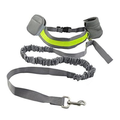 China Viable Best Innovative High Quality Hands Free Dog Leash for sale