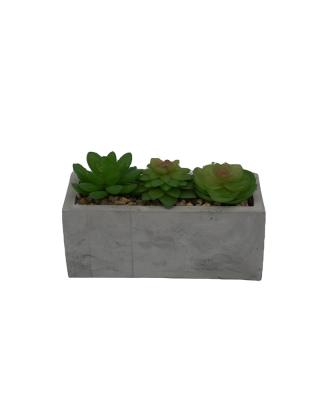 China Cement+plastic Artificial Succulent Plants Decor Set 16 Pcs Real Like Large Fake Succulents Arrangements Many Plastic Succulents for sale