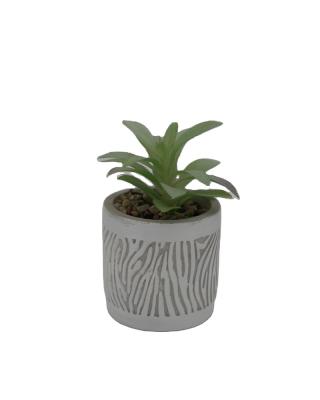 China Unique Cement+plastic Artificial Flowers Plants In Pots For Indoor Home Decor for sale