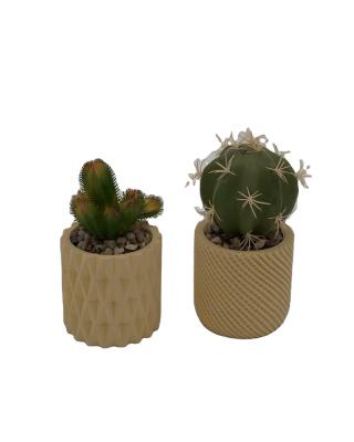 China Green Cement+plastic Customization Potted Ball Shaped Artificial Cactus Plants For Garden for sale