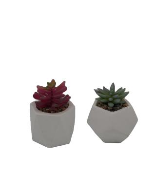 China Cement+plastic Zhejiang Simulation Plant 2pcs Plastic Potted Planters With Artificial Plant for sale