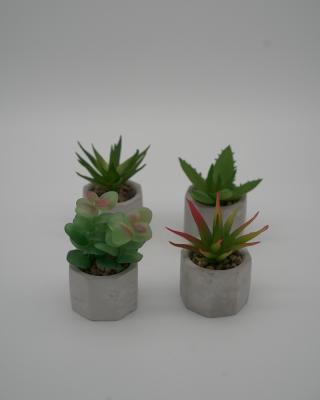 China Good Quality Artificial Cement+plastic Home Plants Which Look Like Real Simulation Potted Plants for sale