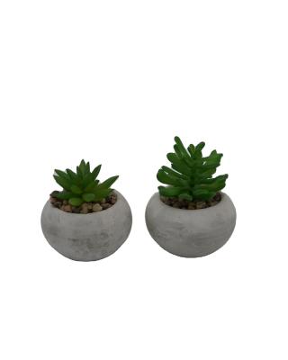 China Indoor Artificial Plants Plastic 2 Pcs Indoor Cement+plastic Decoration Plants Fake Potted Plants for sale