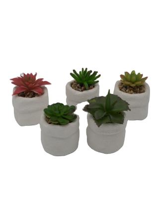 China Factory supply direct diy Cement+plastic simulation succulent plant ceramic pots for indoor succulents for sale