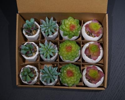 China Wholesale Ceramic Cement+plastic mini artificial succulent plants without pot for sale