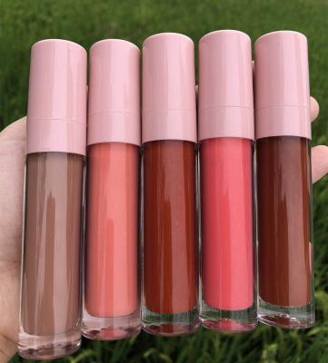 China Waterproof Make Up Cosmetics Lip Gloss Foundation Private Label Nude Lip Gloss Vegan Key Chain Pink Lipstick for sale