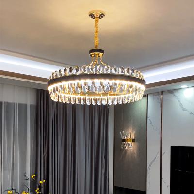 China Factory Sale Luxury Ceiling Lights Modern Hanging Lighting And Circuitry Design for sale