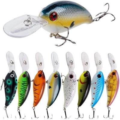 China Made in China 3D Realistic Eyes for Freshwater and Saltwater Lakes Sea Fishing Lures TN2021 en venta