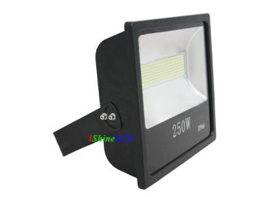 China 25000LM Waterproof LED Flood Lights , Wide Angle LED Flood Light 250W For Amusenment Park for sale