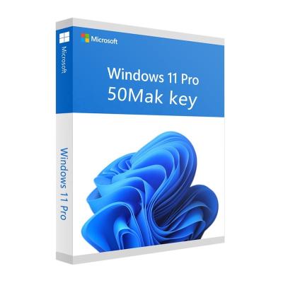 China Professional Windows 11 50 Mak Key By Email Fast Delivery Digital Key Windows 11 Pro Key Win 11 Pro Te koop