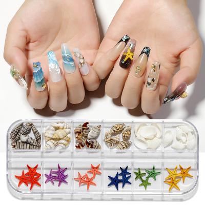 China Alloy Dangle Nail Charms Design Seastar Conch Conch Pear Shell Mixed Pieces Nail Art Charms Decor Sticker 3d Natural Nail Metal Alloy Dangle Nail Charms for sale