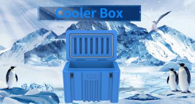 China Waterproof 240L Camping Cooler Box Rotomolded Ice Chest Plastic Cooler Case For Increasing Picnic Te koop