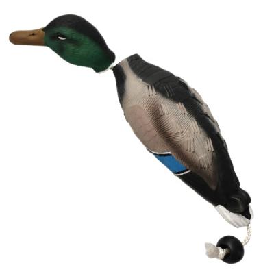 China EVA Bird Training Dummy Mallard and Viable Hard Waterfowl Duck Bumper Toy for Exercising Hunting Dogs for sale