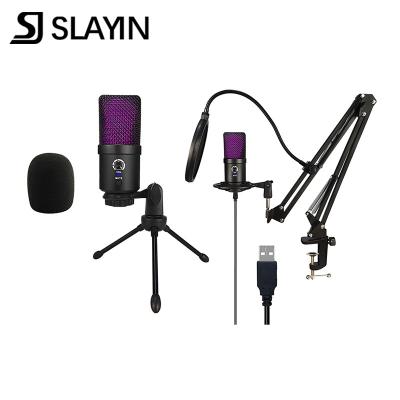 China China Manufacturer Desktop Supply Custom Microphone and Accessories Microphone Set for Studio Wired Microphone for sale