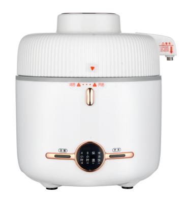 China 2020 New RV Marvel Electric Low Sugar Commercial 2L Mini Rice Cooker For Diabetics for sale