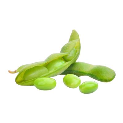 China Hot Sale Natural Frozen Long Shelf Life Frozen Organic Edamame for sale