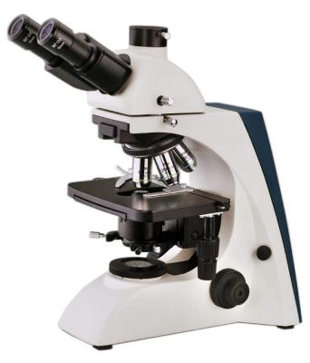 China Infinite Optical System Compound Biological Microscope For Laboratory for sale