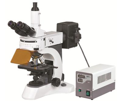 China BS - 7000A fluorescence microscope Coaxial Coarse & Fine Adjustment , Fine Division 0.001mm for sale