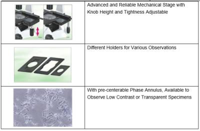 China Inverted Biological Microscope With High-point Extra Wide Field Eyepiece EW10× 22 for sale