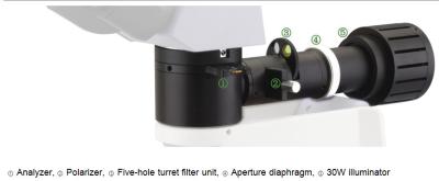 China Microscópio ótico metalúrgico com a lâmpada do halogênio do diafragma de abertura 6V/30W da íris à venda