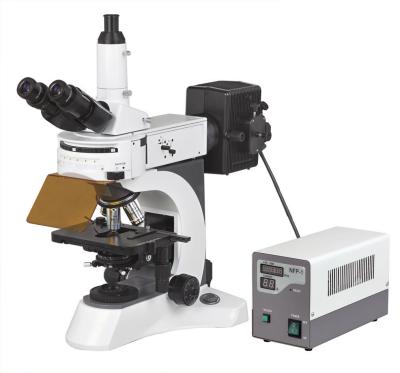 China Trinocular Fluorescent Microscopes Reflected With High Resolution for sale