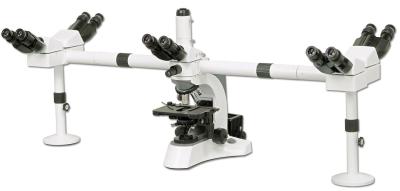 China Ultraviolet Multi-Head Microscope Trinocular With Halogen Lamp for sale