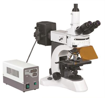 China Trinocular Epi - Fluorescent Microscope , Video Microscope BS - 7000A for sale