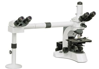 China Lab Medical Multi Head Microscope with  Sharp Image Display and  Excellent Optical System for sale