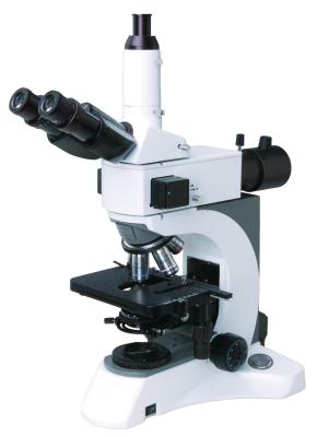 China Kohler Illumination Fluorescent Biological Microscope With Infinite Optical System for sale