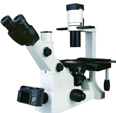 China Compound Inverted Biological Microscope With Adjustable Mechanical Stage, Trinocular Head for sale