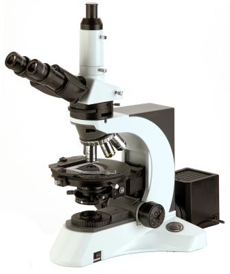 China Transmitted Illumination Polarizing Light Microscope with Trinocular Head for sale