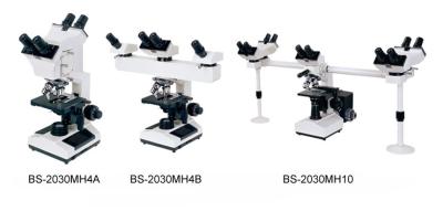 Chine Microscope Tête multi biologique d'école/laboratoire avec l'illumination de LED réglable à vendre