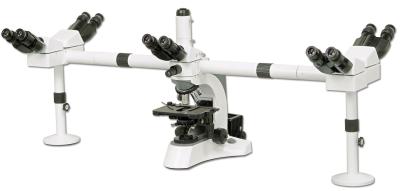 China Medical / Biological Teaching Multi-Head Microscope With Infinite Optical System for sale