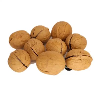 China Dried Chinese Tasty Snack Dried 185 Xiner 33 Xingfu Walnut In Shell With Cheap Price for sale