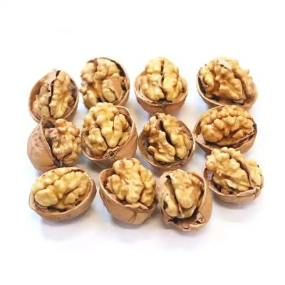 China Dried Wholesale New Crop Chinese Organic Thin Skinned Walnut and Walnut kernel for sale