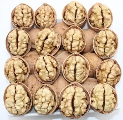 China Dried High Quality Tasty Snack Dried Fruit Thin-Skinned Walnut In Shell For Sale for sale