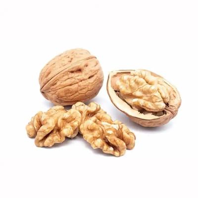 China Dried New Agricultural Products 2023 Organic Dry Fruit 185 Walnuts  In shell Of Chinese Factory for sale