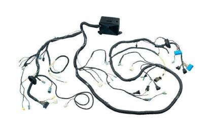 China Cable And Wire Harness Assembly For Automotive UL ROSH 360V for sale