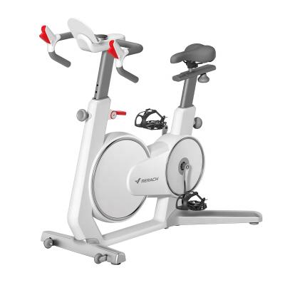 China Best Home Use Spin Bikes New MERACH SWAN 32 Level Electromagnetic Control Resistance Exercise Spinning Indoor Recycling Bike for sale