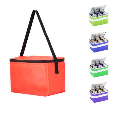 China Who respects the environment. Custom Thermal Bag Durable Small 6.insulated Logo Insulated Picnic Food Travel Can Non Woven Insulated Lunch Cooler Bag for sale