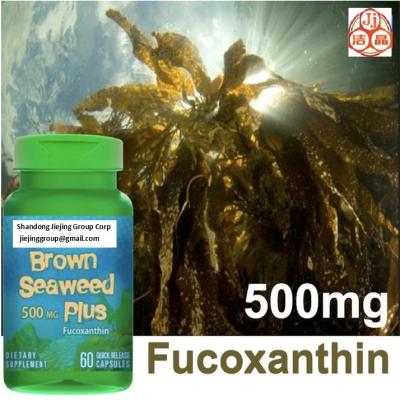 China laminaria japonica seaweed extracts fucoxanthin 1% oil, powder CAS No.3351-86-8 high purity for sale