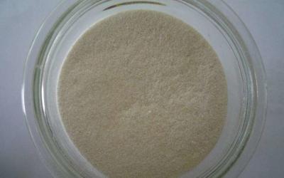 China Xanthan Gum food additive, xanthan gum food applications for sale