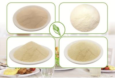 China Xanthan Gum In Ice Cream, Xanthan Gum Food Grade for sale