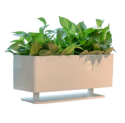 China Modern Iron Pot Plant Stand Flower Stand Powder Coating Powder Coating Flower Pot Desk Table For Office for sale