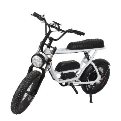 China 750W 20inch Standard Fat Tire Mountain Electric Bike With Disc Brake for sale