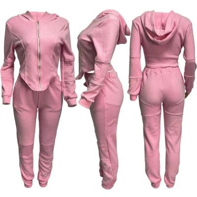 China Anti Pilling Ladies Jogging Suits Casual Fashion Hoodied Zipper Top And Pants For Fall en venta