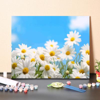 China New Classic/Postmodern Popular Hot Selling Fresh Sufficiency Chrysanthemum Chamomile Landscape DIY Decoration Hand Painted Painting By Numbers for sale