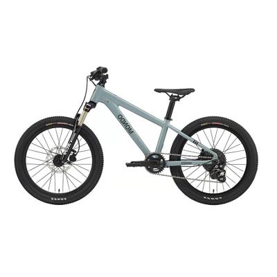 China MONDO Factory Direct Sale High Quality Kids 20 inch Trail Bike Kids MTB Shimano Te koop