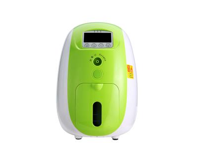 China Oxygen Supply And Factory Price Sprayed Portable Oxygen Concentrator 1~5 Liters Adjustable for sale