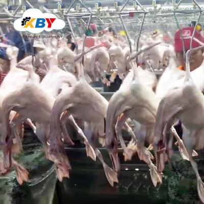 China New type POULTRY chicken meat butcher equipment for chicken slaughterhouse for broiler slaughter line for sale